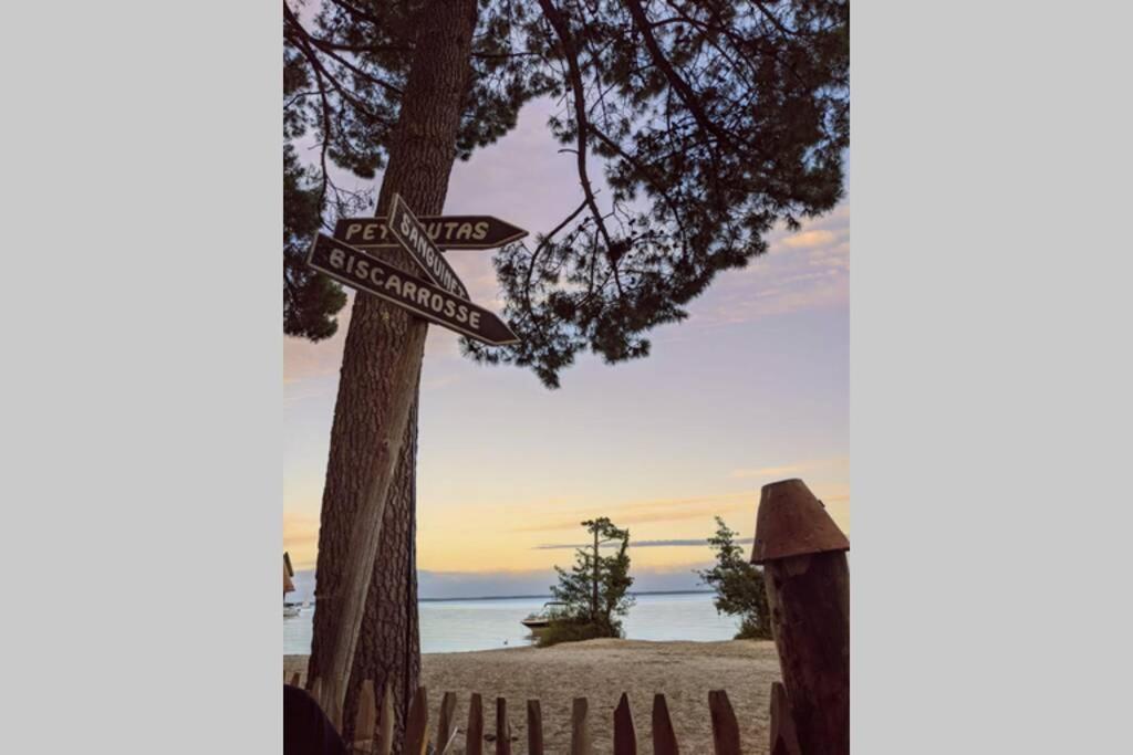 Maison Sur Le Bassin D'Arcachon La Teste-de-Buch Eksteriør billede