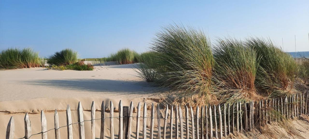 Maison Sur Le Bassin D'Arcachon La Teste-de-Buch Eksteriør billede